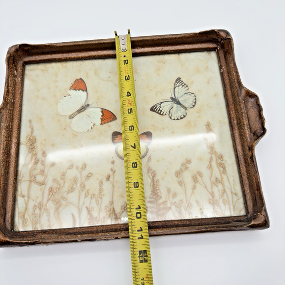 Vintage Antique Pressed Real Butterfly Tray Framed Botanicals 14.5" x 11" - Picture 15 of 16